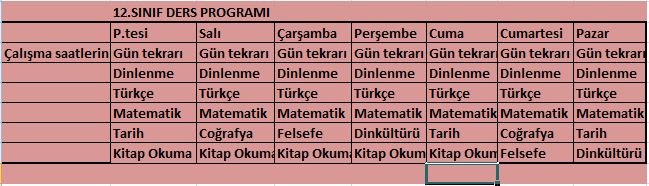 12.sinif-ders-programi