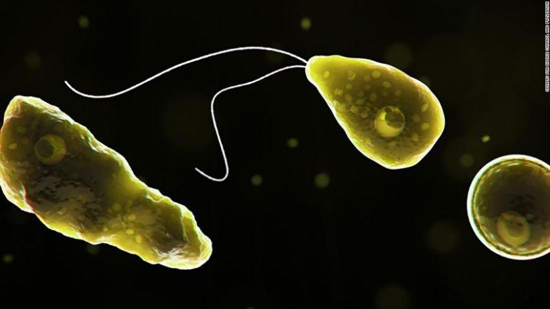 ABD’de Korkutucu Mikroplar; Su Kaynaklarında Beyin Yiyen Amipler Var! Dikkat!