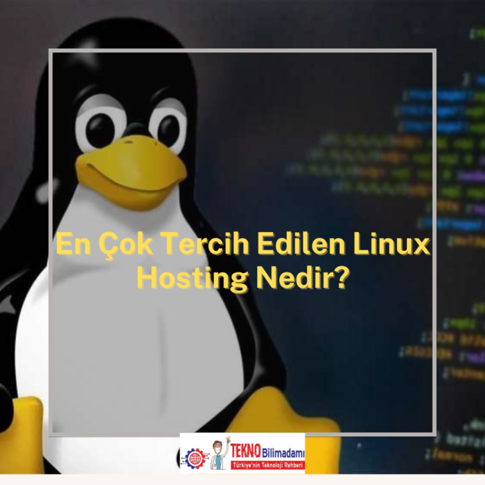 En Çok Tercih Edilen Linux Hosting Nedir