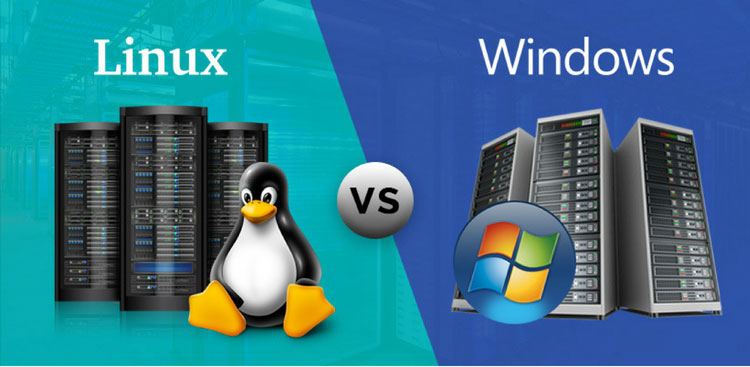 Linux Hosting vs Windows hosting Arasındaki Farklar