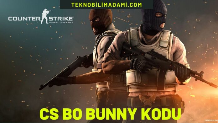 CS GO Bunny Kodu