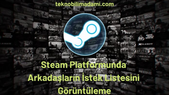 Steam Platformunda Arkadaşların İstek Listesini Görüntüleme