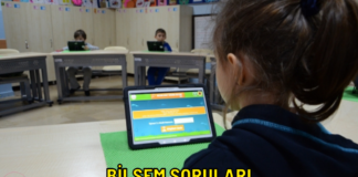 bilsem