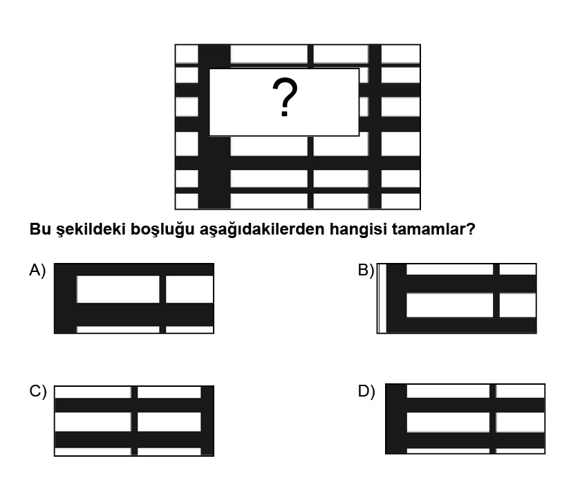 bilsem soruları