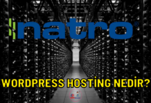 wordpress hosting natro