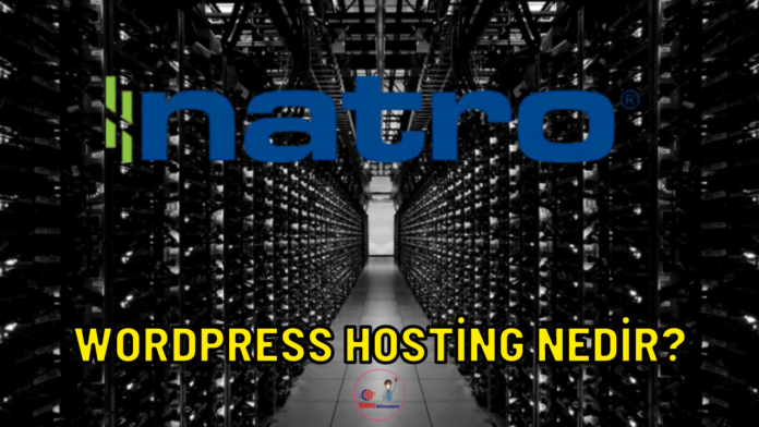 wordpress hosting natro
