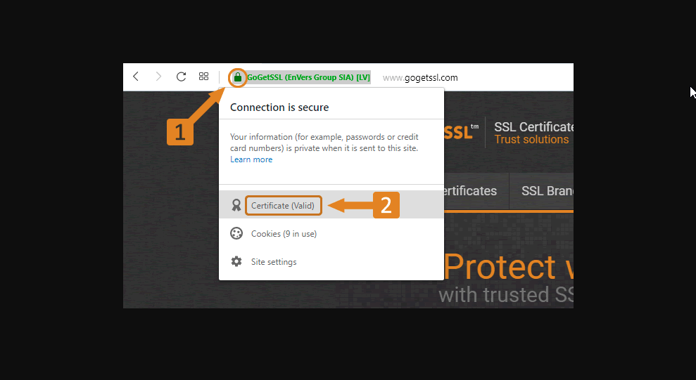 ssl sertifika bilgi ekranı