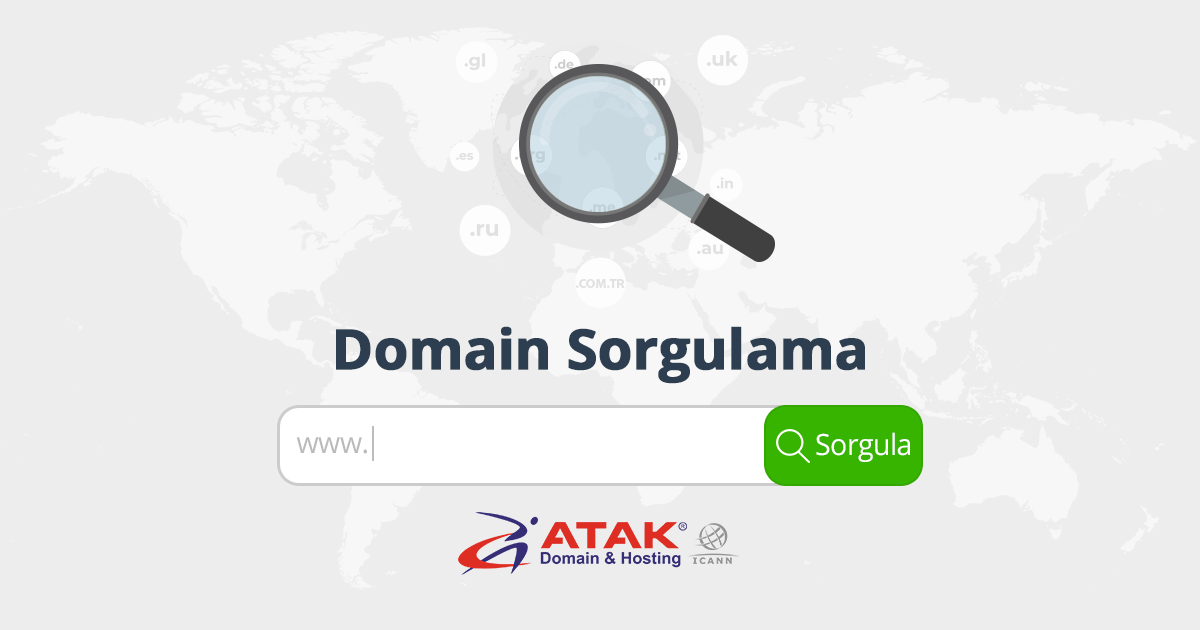 domain sorgulama