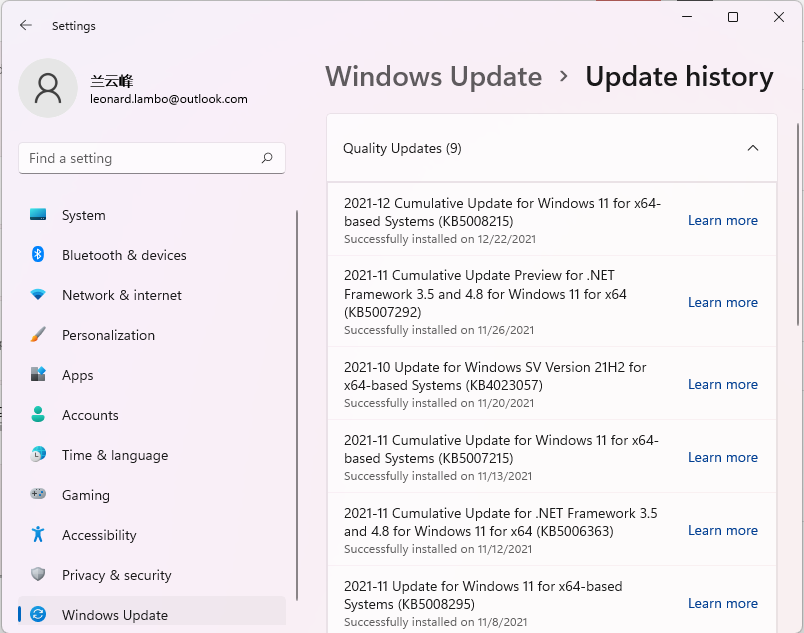Windows 11 Güncellemeleri