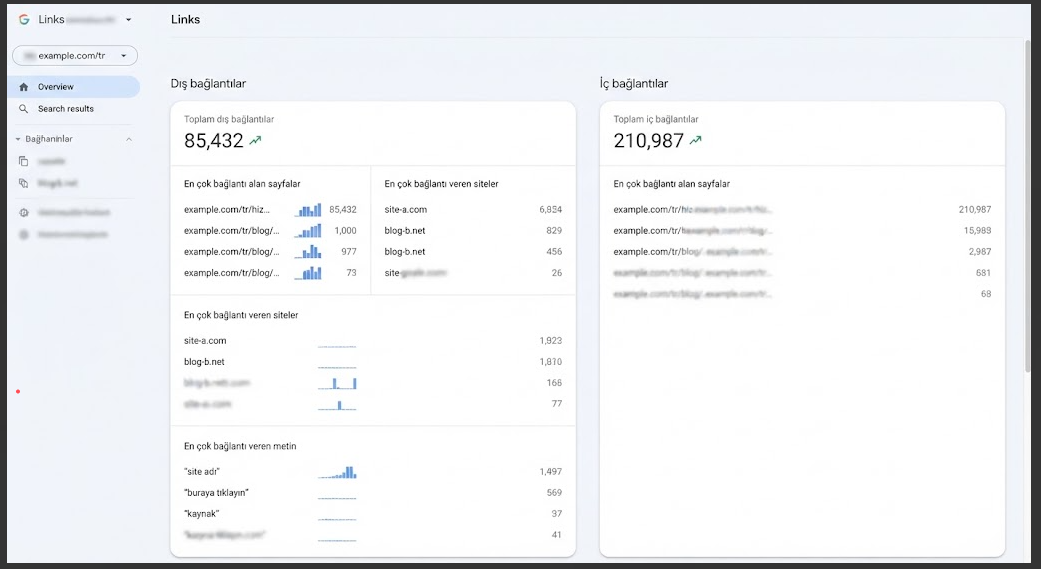 Google Search Console bağlantılar