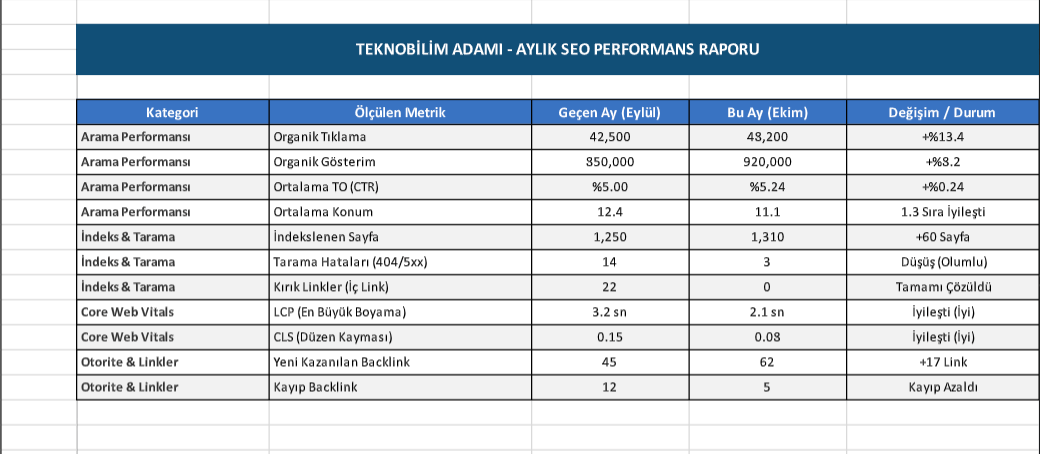 seo performans raporu