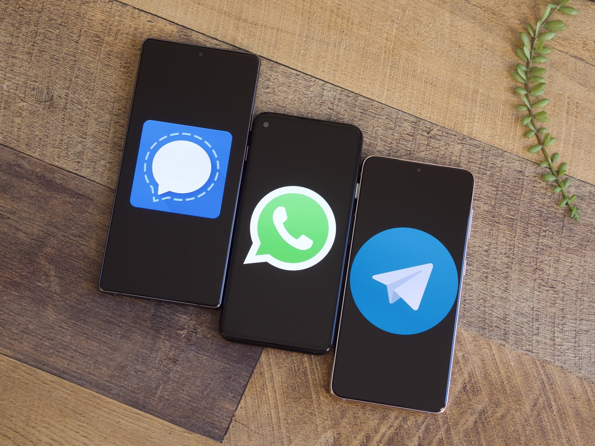 WhatsApp yakında Signal veya Telegram gibi diğer uygulamalara mesaj göndermenize izin verecek