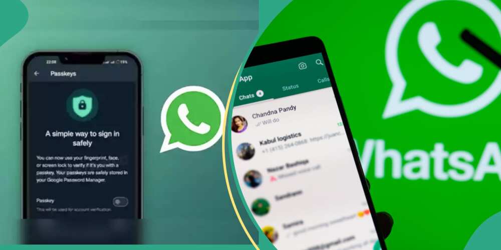 WhatsApp iOS'ta parola desteği