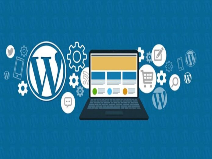 Bir Sitenin WordPress Olup Olmadığı Nasıl Anlaşılır?